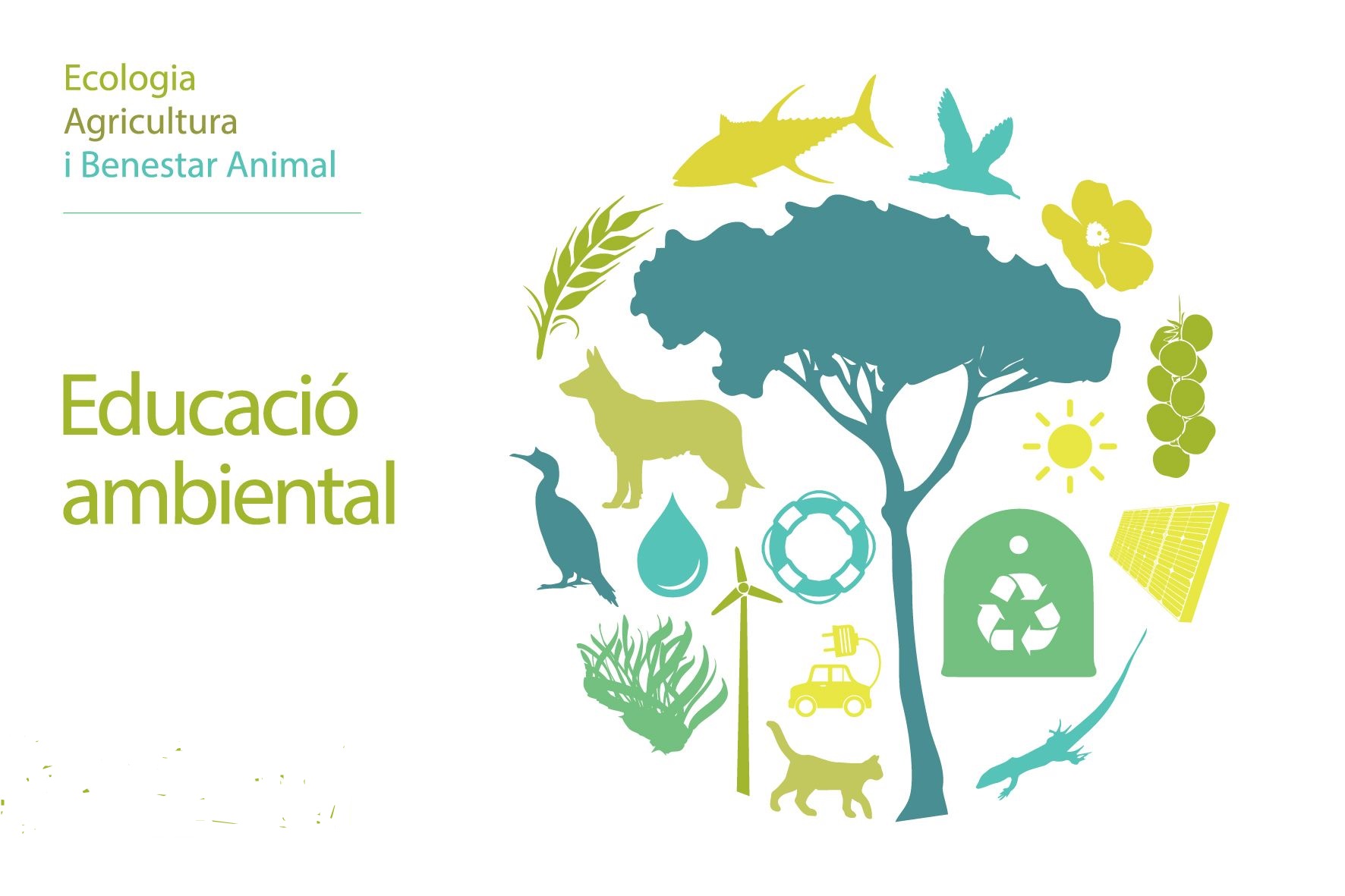 Reconocimiento CETS Can Turró