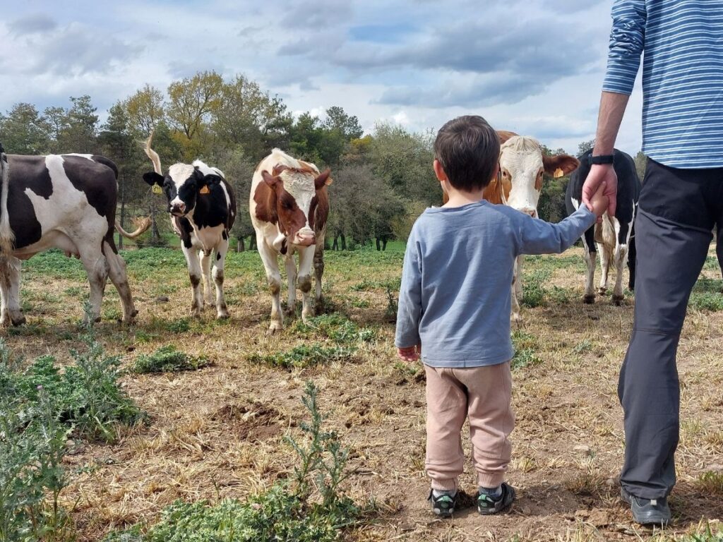 Beneficios de las visitas a granjas para niños
